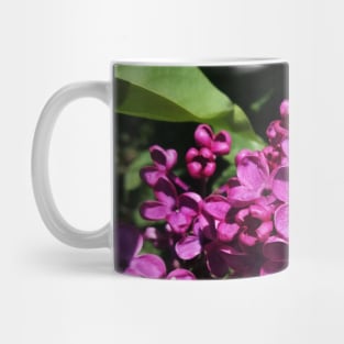 Lovely Lilac Flower Blooming In Spring Mug